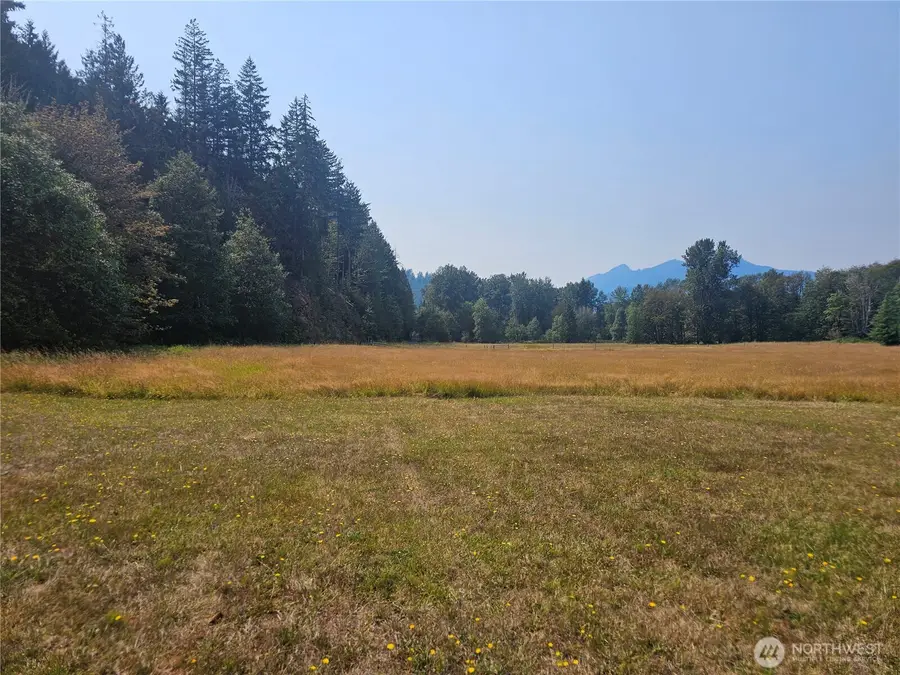 1077 Cline Road, Randle, WA 98377 - #3