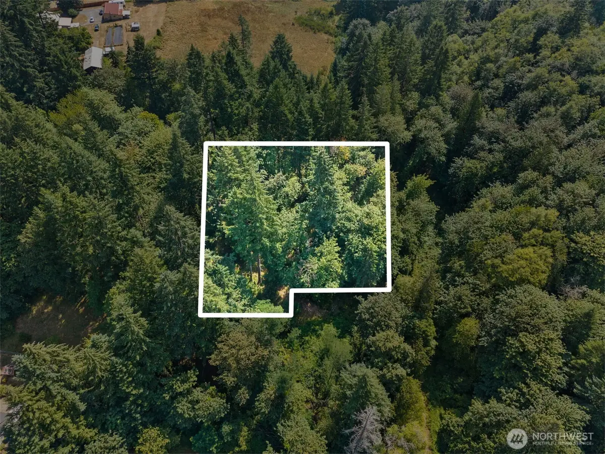 0 SE Ash Lot 1 Street, Winlock, WA 98596 - #1