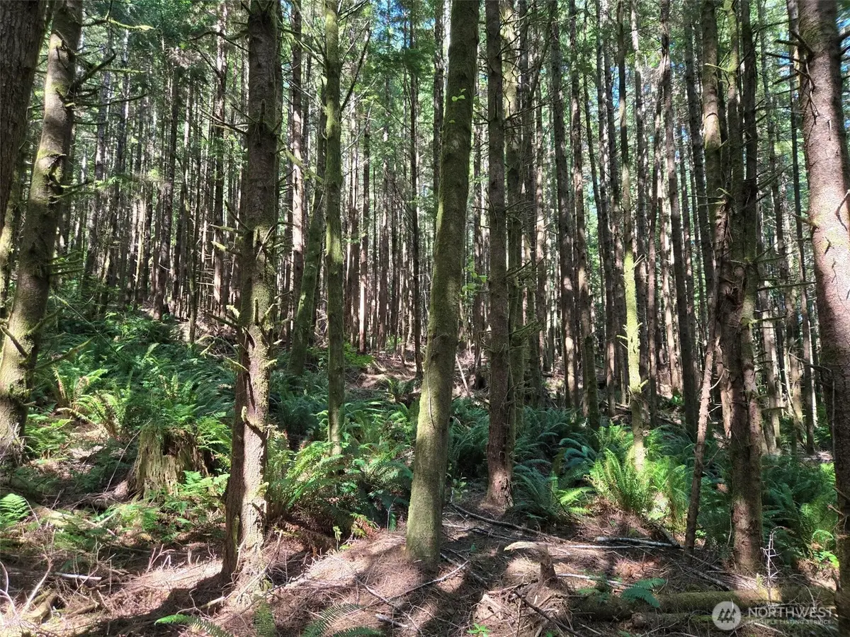 0 S.r. 109 Spur, Hoquiam, WA 98550 - #1