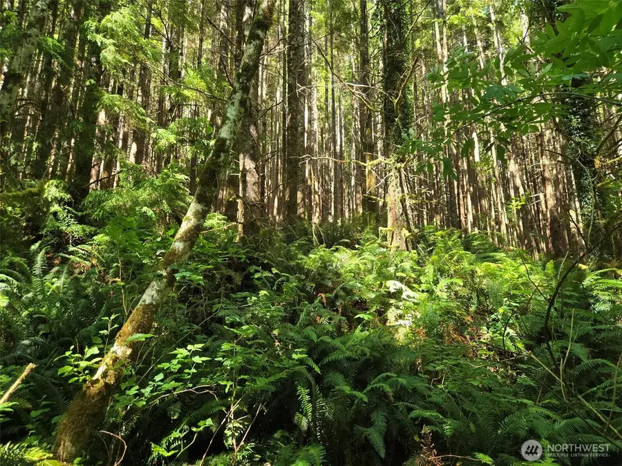 0 S.r. 109 Spur, Hoquiam, WA 98550 - #2