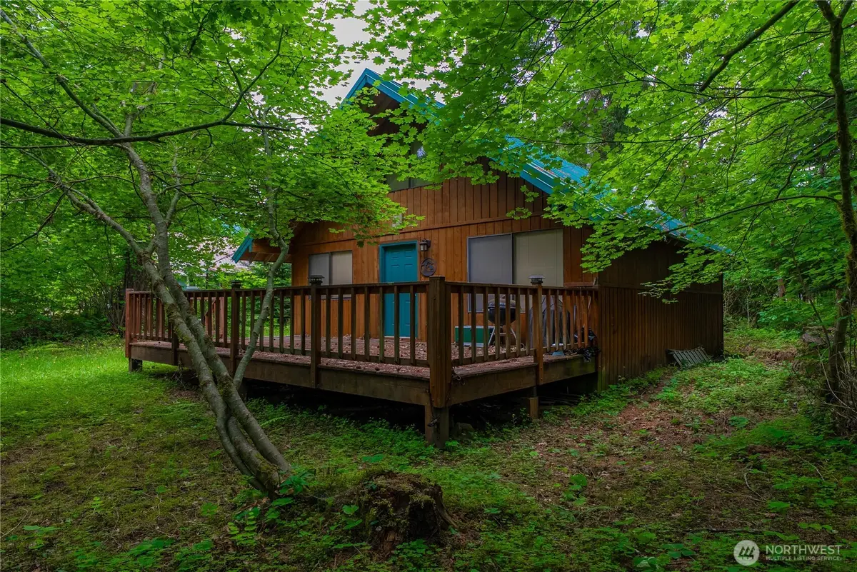 146 Mount Rainier Drive, Packwood, WA 98361 - #1