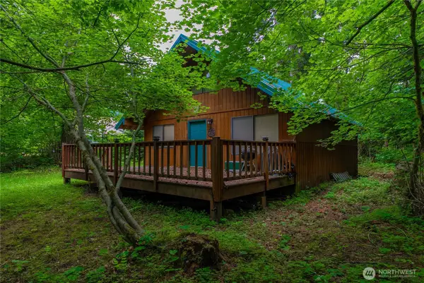 146 Mount Rainier Drive, Packwood, WA 98361