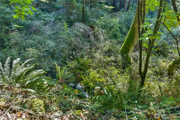 0 Woody Lane, Anacortes, WA 98221
