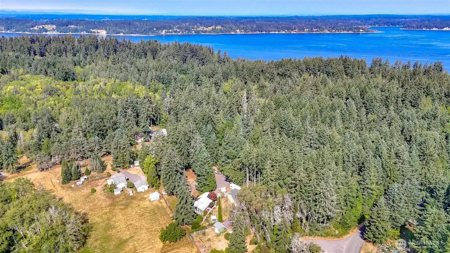12908 91st Street Ct E, Anderson Island, WA 98303 - #2