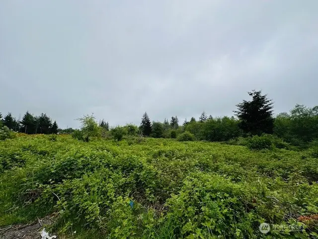 4311 Bethel Road Se, Port Orchard, WA 98366 - #2