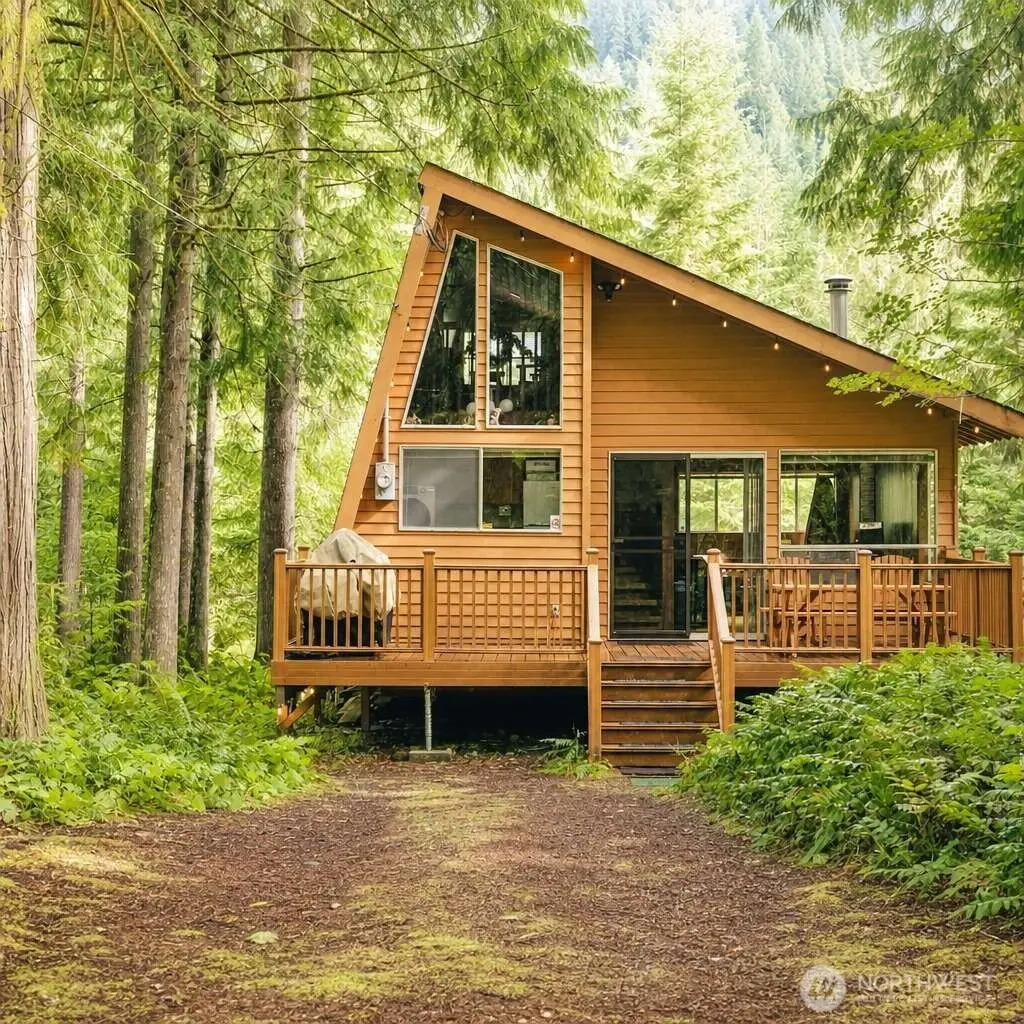 38115 564th St Court E, Ashford, WA 98304 - #1