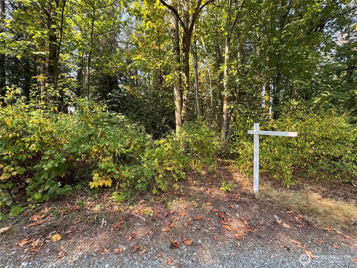 157817 Roseview Street, Blaine, WA 98230 - #1