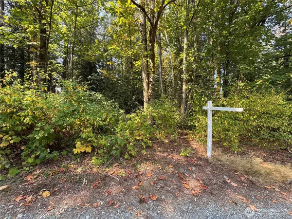 157817 Roseview Street, Blaine, WA 98230