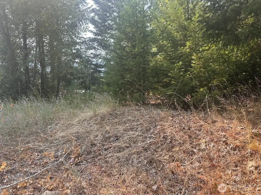 0 Spy Glass Place, Cle Elum, WA 98922 - #2