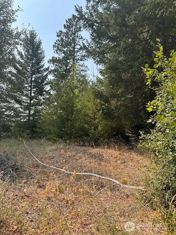 0 Spy Glass Place, Cle Elum, WA 98922 - #3
