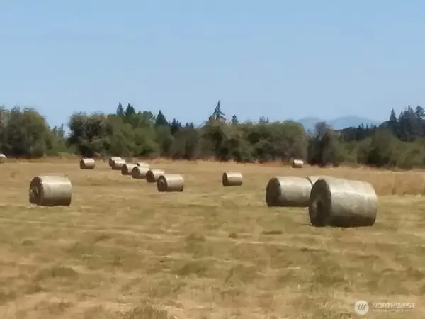 0 Drews Prairie Road, Winlock, WA 98596
