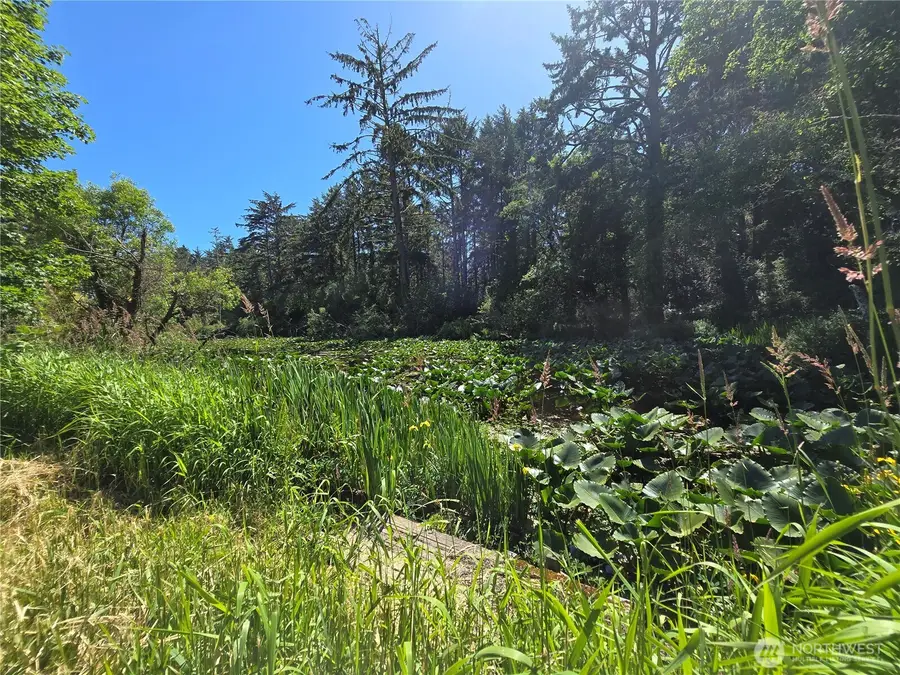 2225 State Route 105, Grayland, WA 98547 - #2