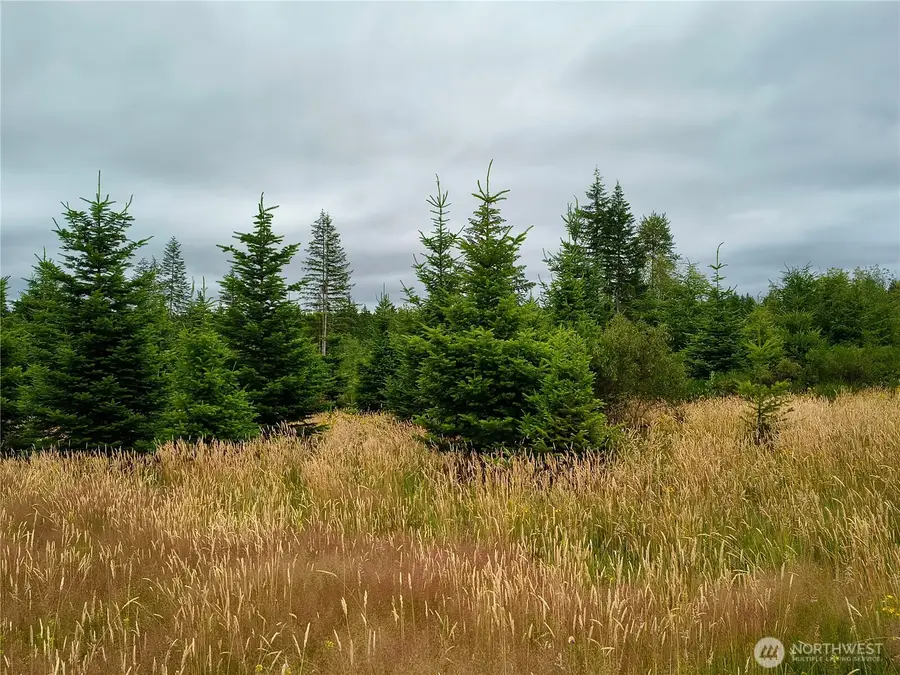 6510 101 St Avenue Sw, Olympia, WA 98512 - #2
