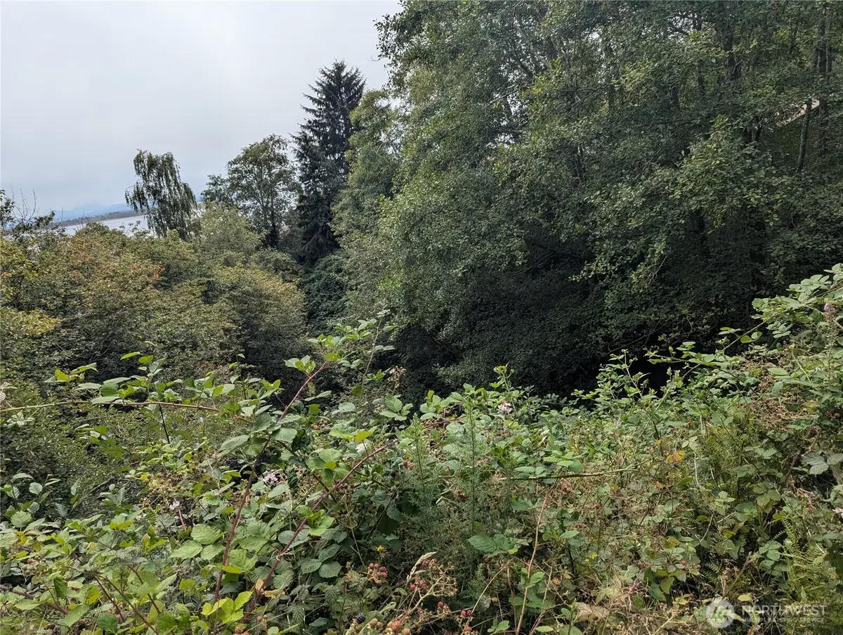 0 Lamontay Lot #6 Place #6, Ilwaco, WA 98624 - #1