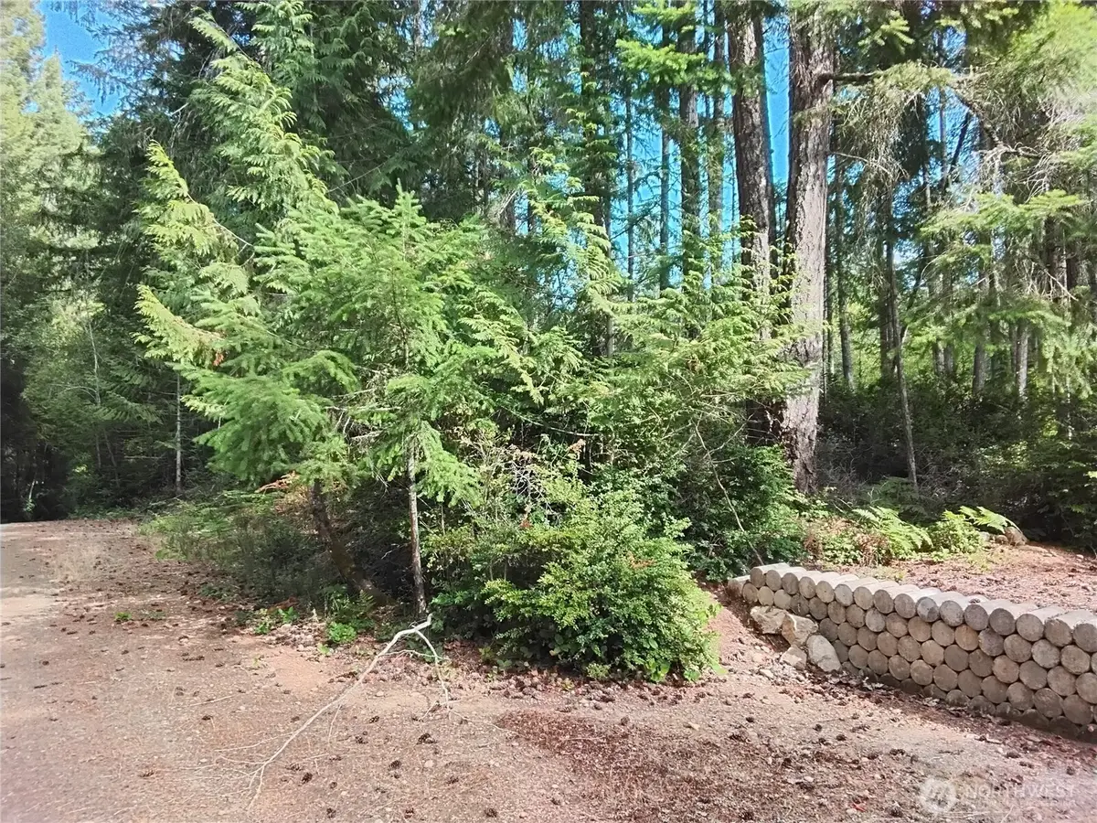 0 E Frontier Road #1, Grapeview, WA 98546 - #1