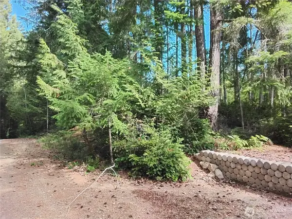 0 E Frontier Road #1, Grapeview, WA 98546