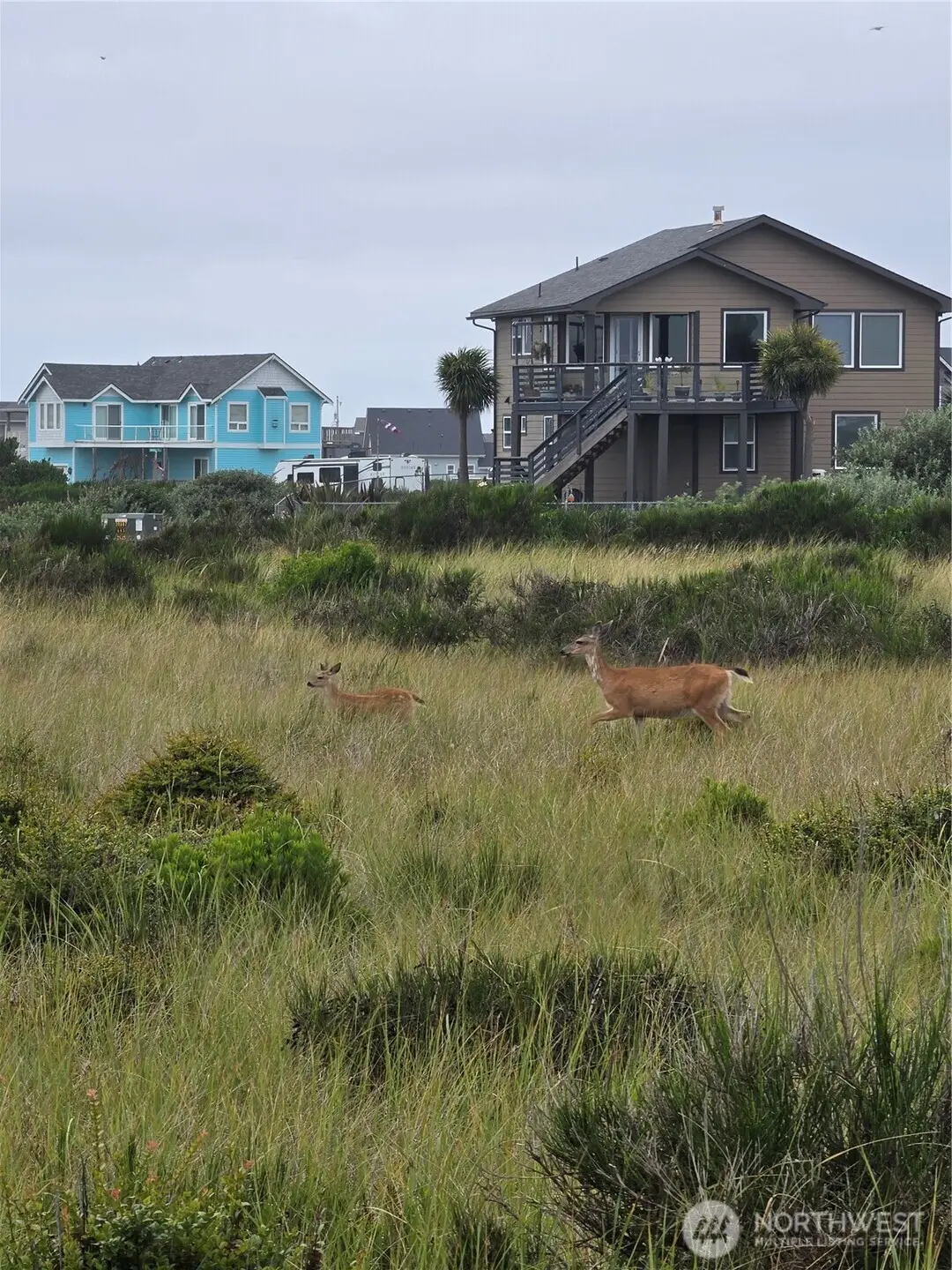 1440 Ocean Crest Avenue Sw #37, Ocean Shores, WA 98569 - #1