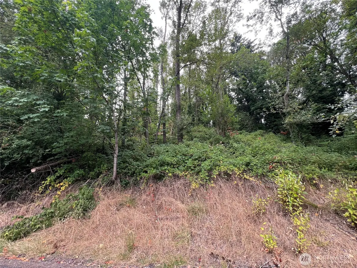 0 X Allen Drive, Kelso, WA 98626 - #1
