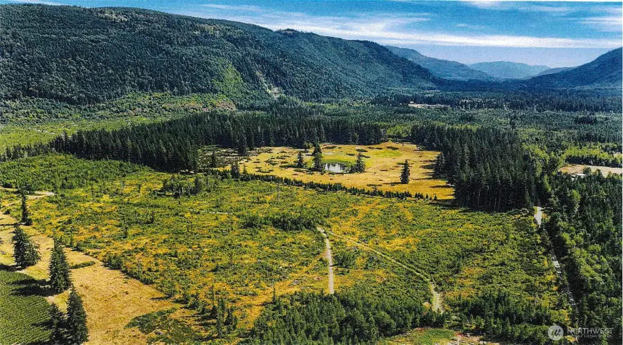 0 Heady Road, Sumas, WA 98295 - #2
