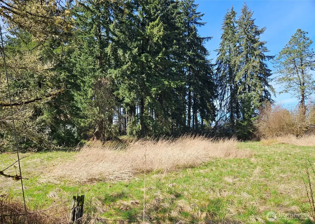 11735 Driver Street Sw, Olympia, WA 98512 - #1