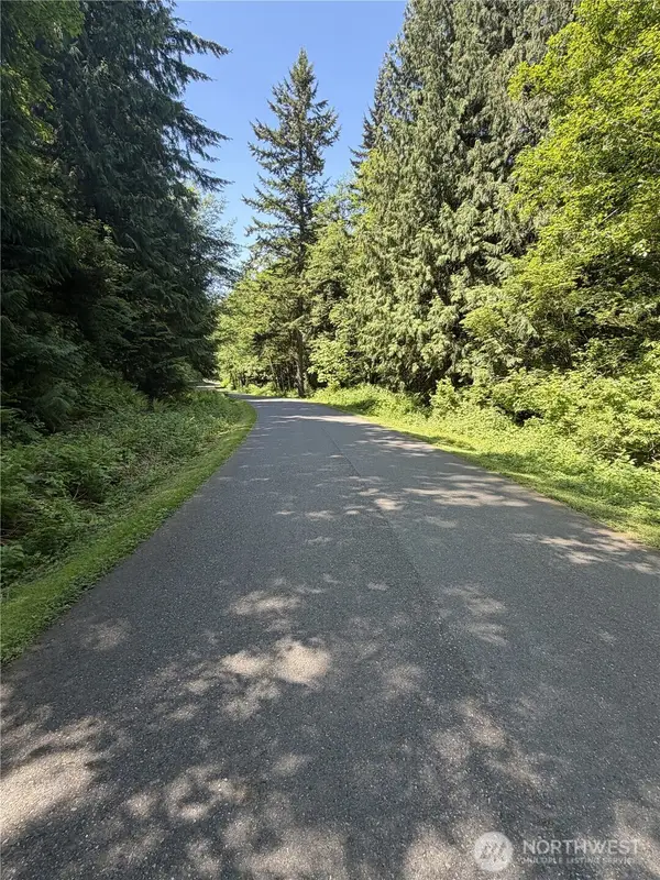 0 Squalicum Mountain Road, Bellingham, WA 98226