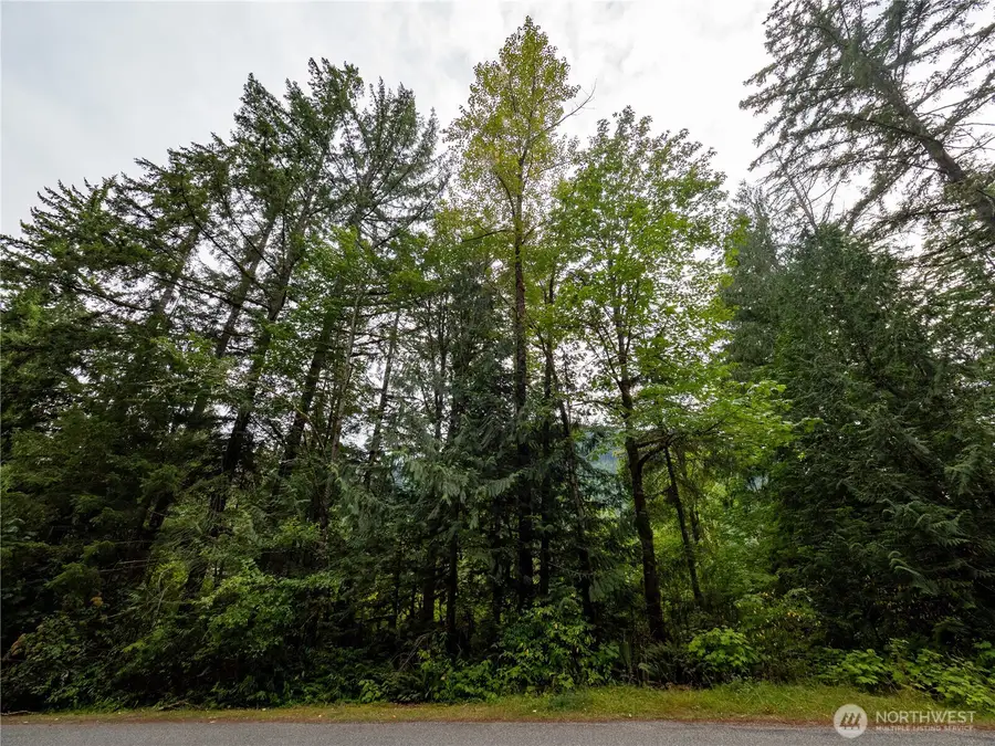 7449 Miller Way #2, Glacier, WA 98244 - #3