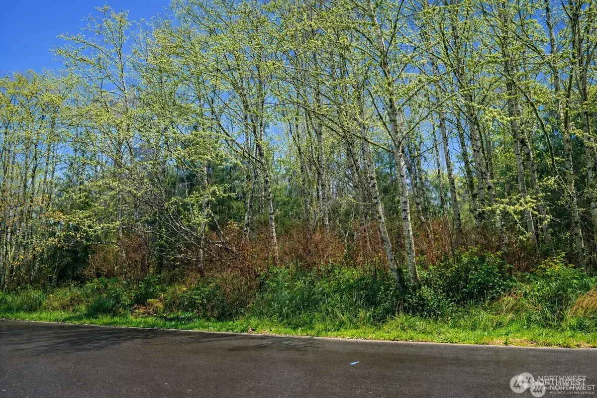 821 Duck Lake Drive Ne, Ocean Shores, WA 89569 - #1