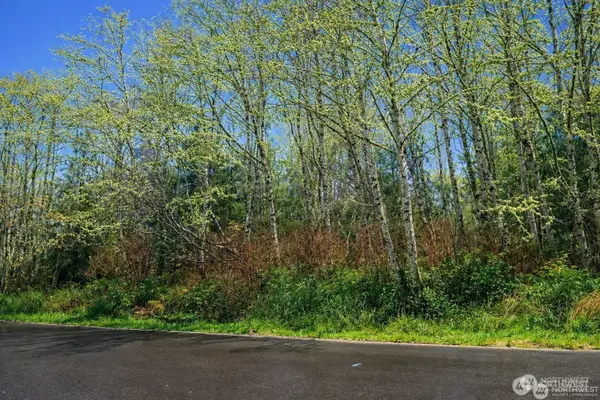 821 Duck Lake Drive Ne, Ocean Shores, WA 89569