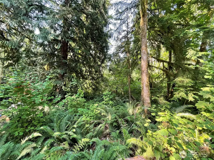 7521 Olsen Drive #2, Glacier, WA 98244 - #3