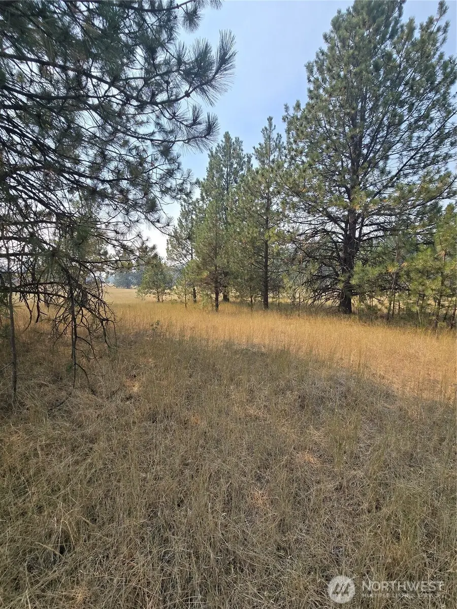 0 Tbd Turner Lake Road, Tonasket, WA 98855 - #2