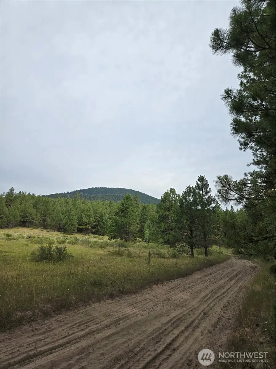 0 Tbd Turner Lake Road, Tonasket, WA 98855 - #2