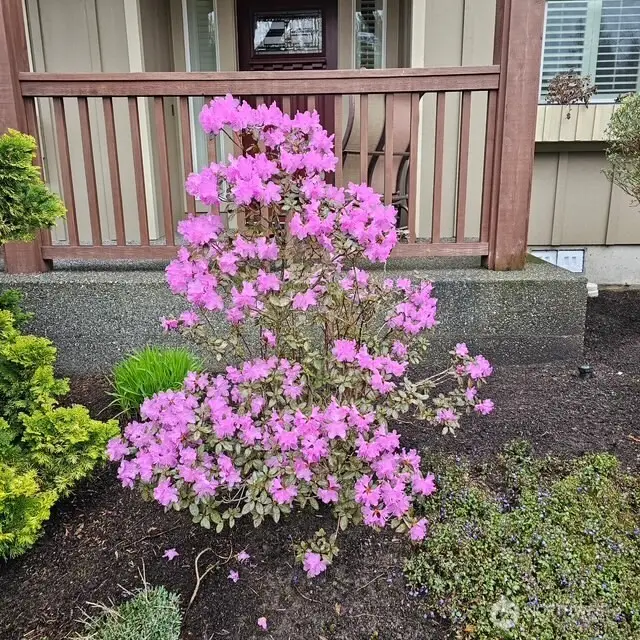 506 Timberland Loop, Mount Vernon, WA 98273 - #2