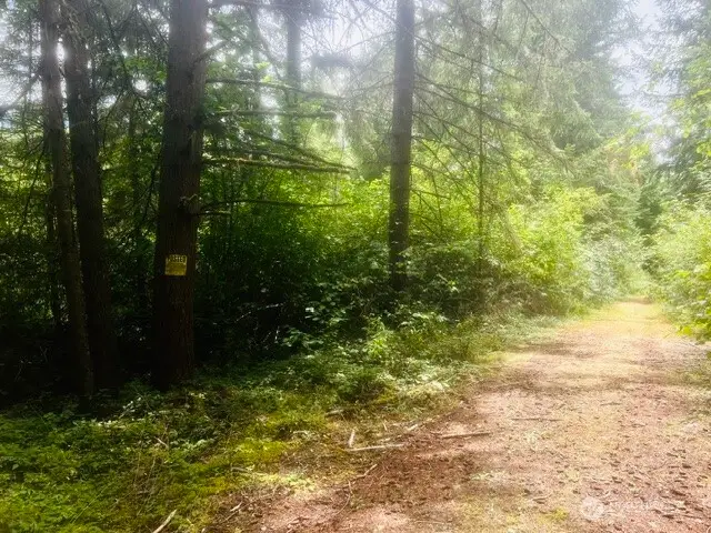 33414 68th Avenue S, Roy, WA 98580 - #2