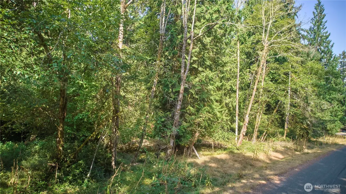 10114 Selma Circle #Lot 96, Anderson Island, WA 98303 - #1