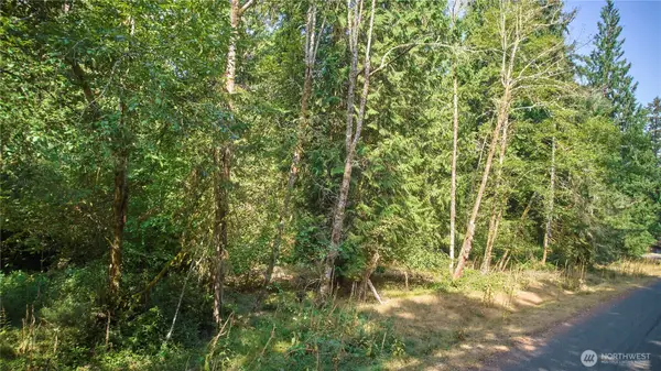 10114 Selma Circle #Lot 96, Anderson Island, WA 98303