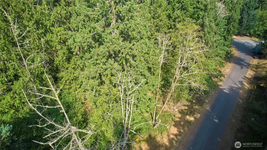 10114 Selma Circle #Lot 96, Anderson Island, WA 98303 - #3