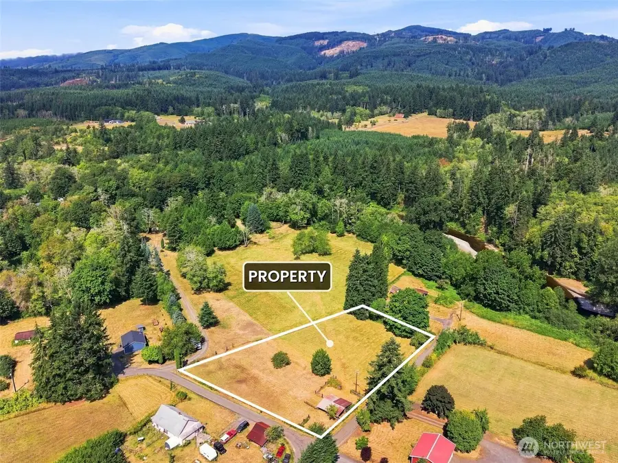 0 Cedar, Doty, WA 98539 - #3