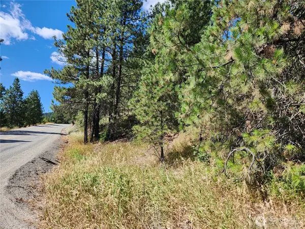 0 Klondike Road #Lot 1, Republic, WA 99166