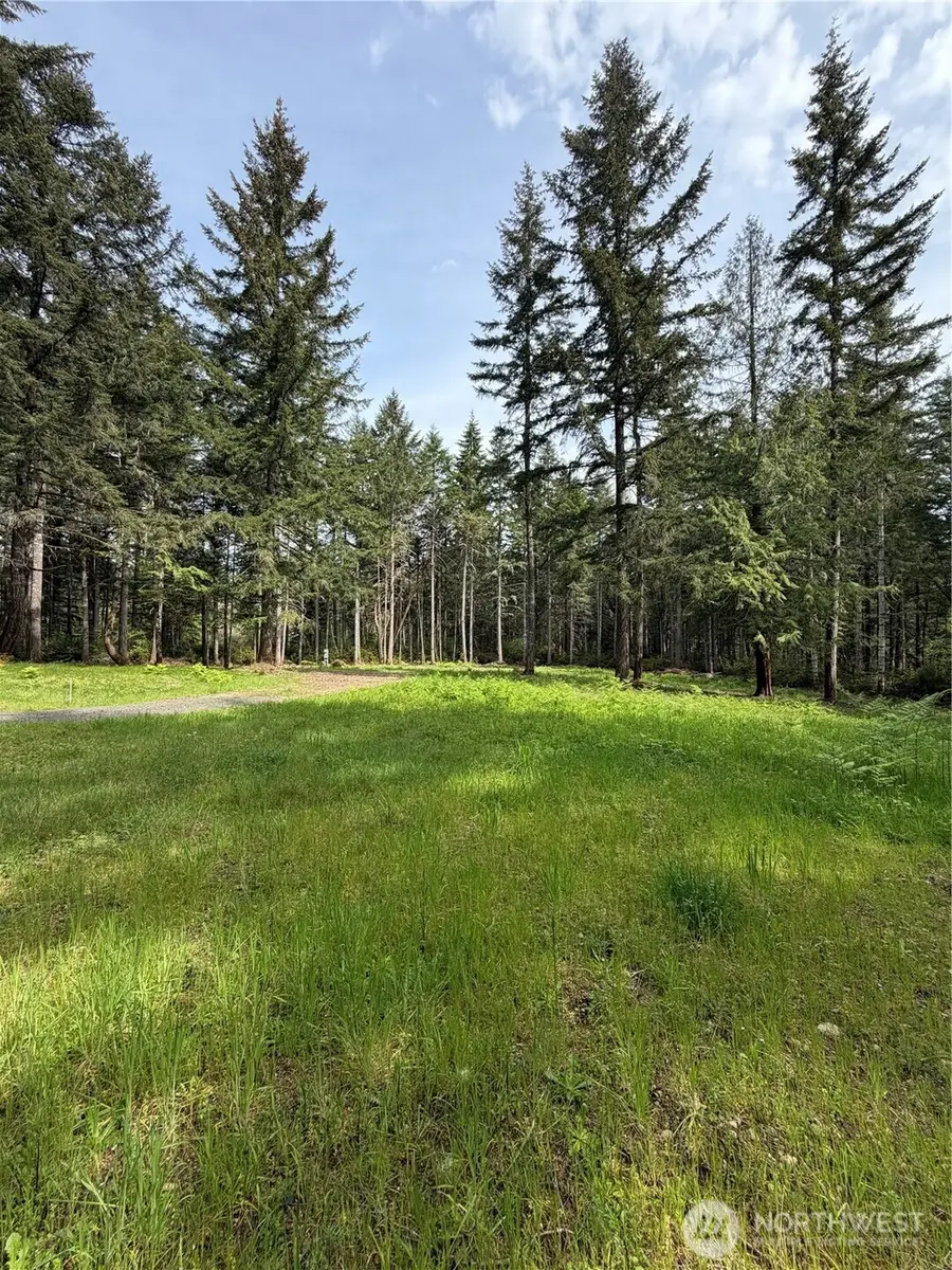 19205 30th Street Sw, Lakebay, WA 98349 - #2