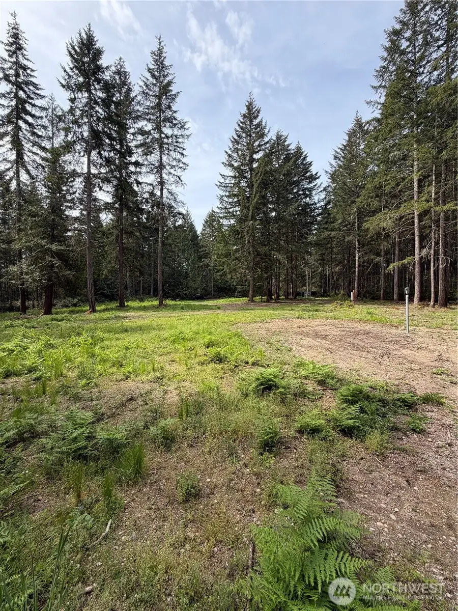 19205 30th Street Sw, Lakebay, WA 98349 - #3