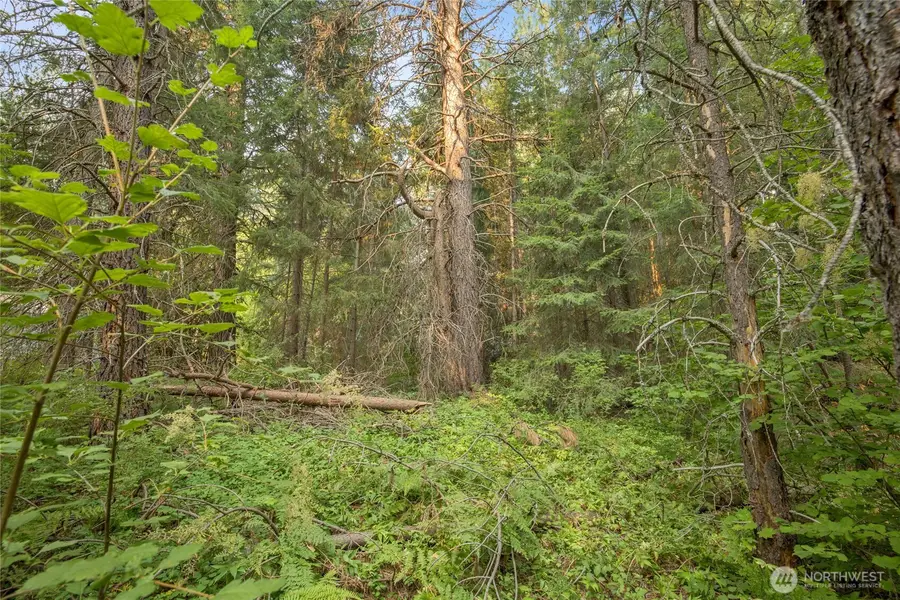 1 Oakmont #1, Cle Elum, WA 98922 - #2