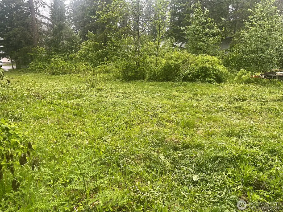 6159 Hawthorne Place, Maple Falls, WA 98266 - #1