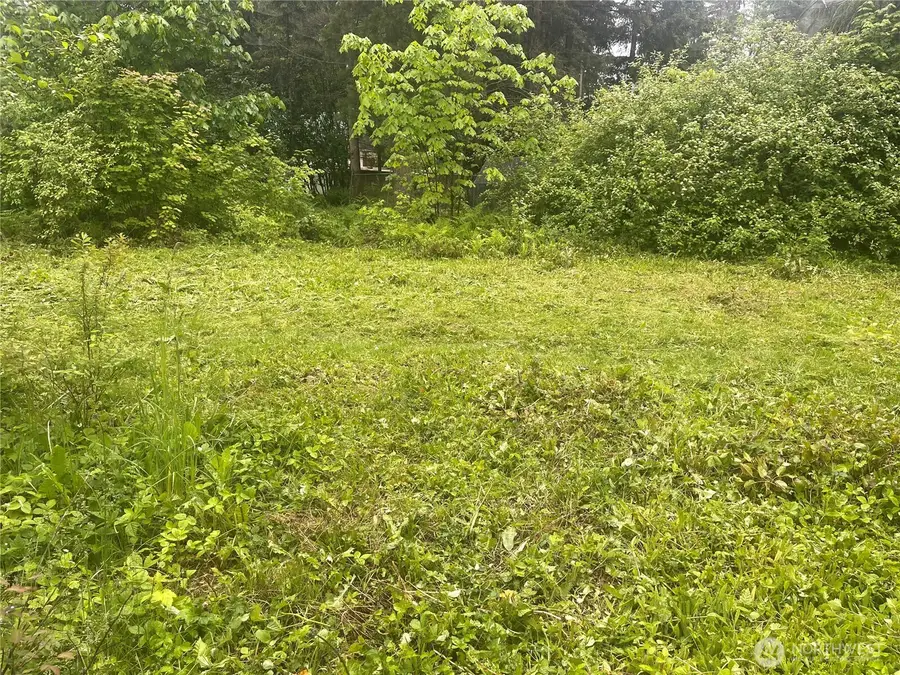 6159 Hawthorne Place, Maple Falls, WA 98266 - #3