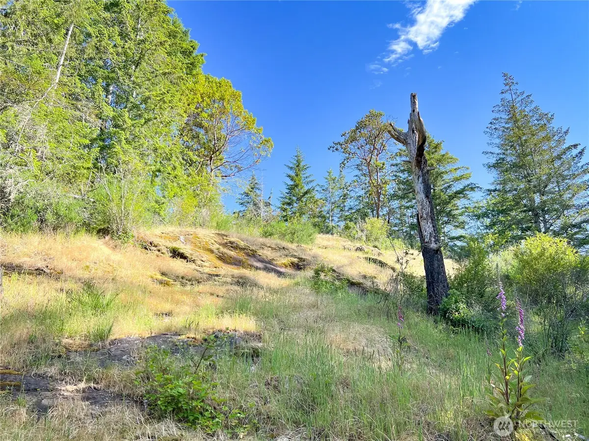 311130 Us Highway 101, Brinnon, WA 98320 - #1