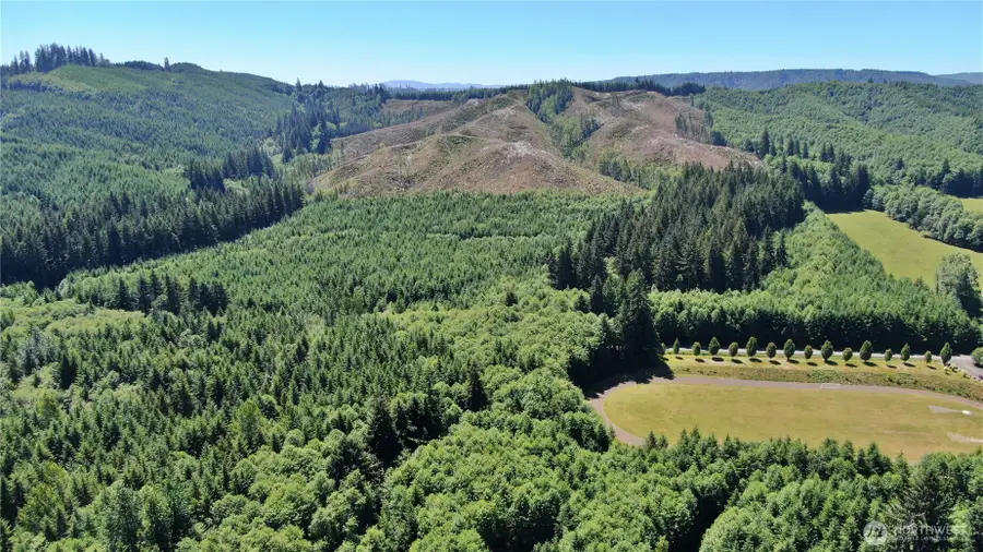 28 North River Road, Cosmopolis, WA 98537 - #2