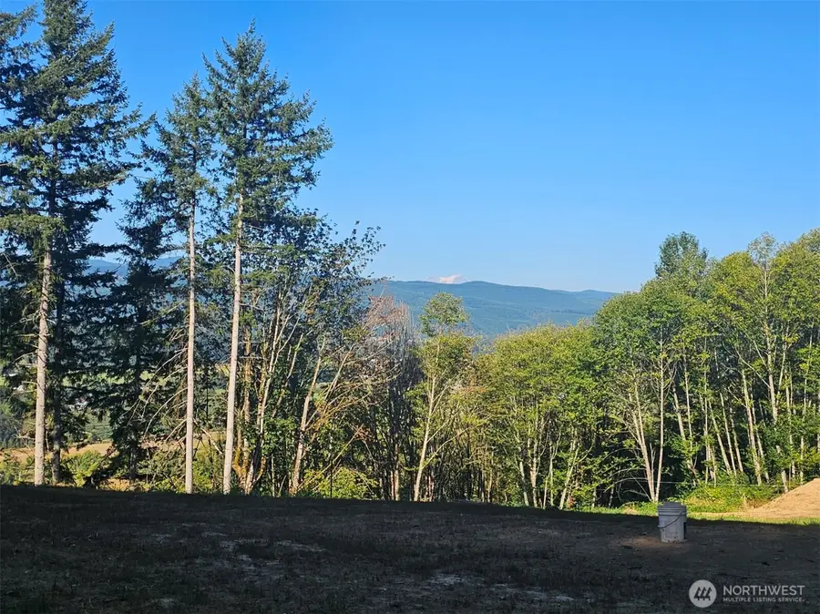 218 Bowen Road, Mossyrock, WA 98564 - #3