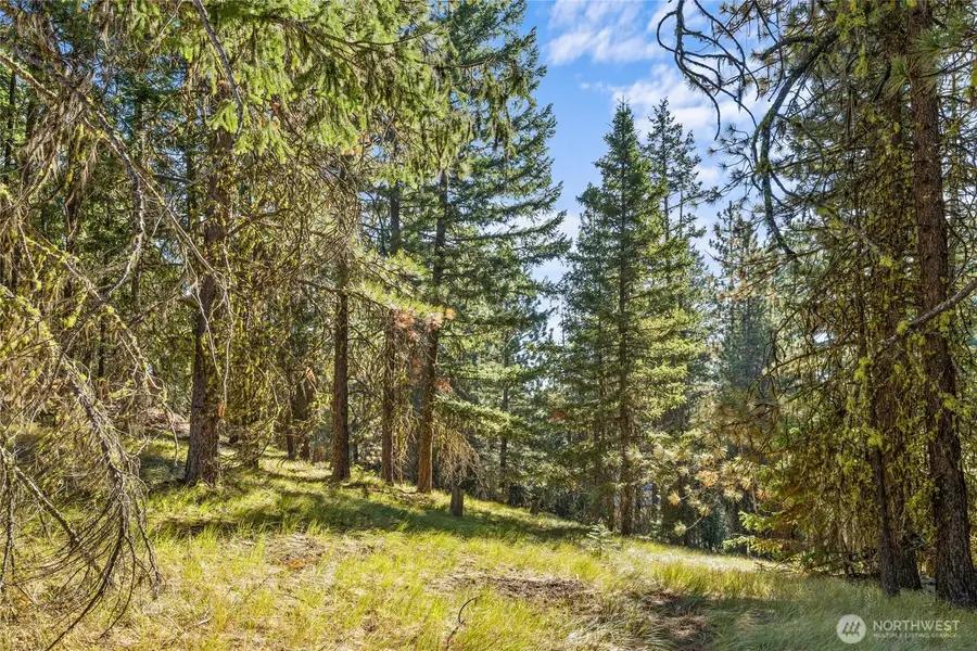 330 Eagle Road, Cle Elum, WA 98922 - #2
