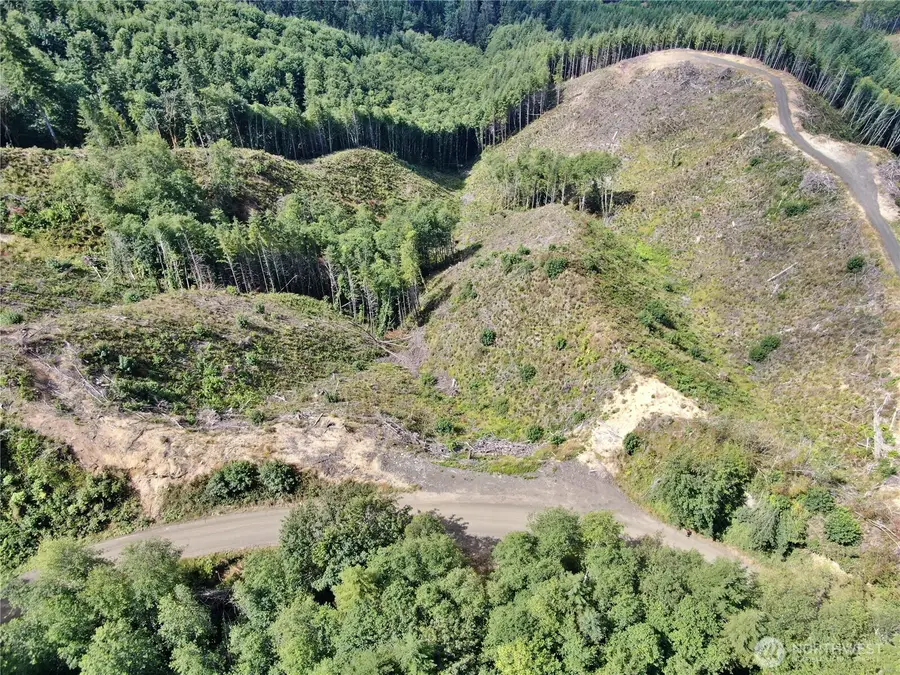0 Smith Creek Road, Cosmopolis, WA 98537 - #3