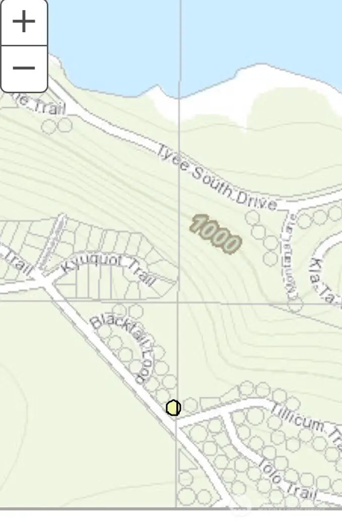44995 Kachess Trail #3A 014, Concrete, WA 98237 - #3
