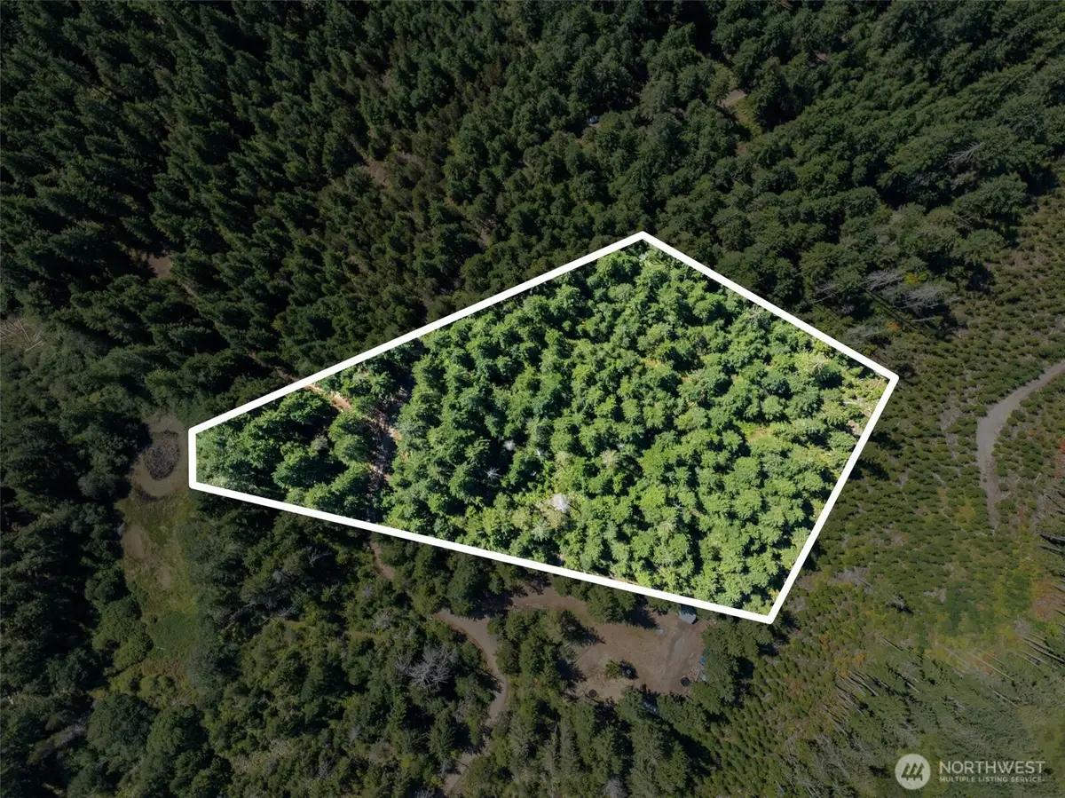 2461 W Hanks Lake Road, Shelton, WA 98584 - #1